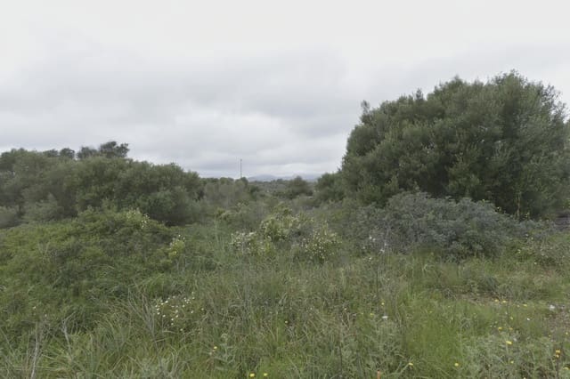 Byggegrund til salg i Calas de Mallorca, Manacor - € 134.000 (Ref: 8611233)