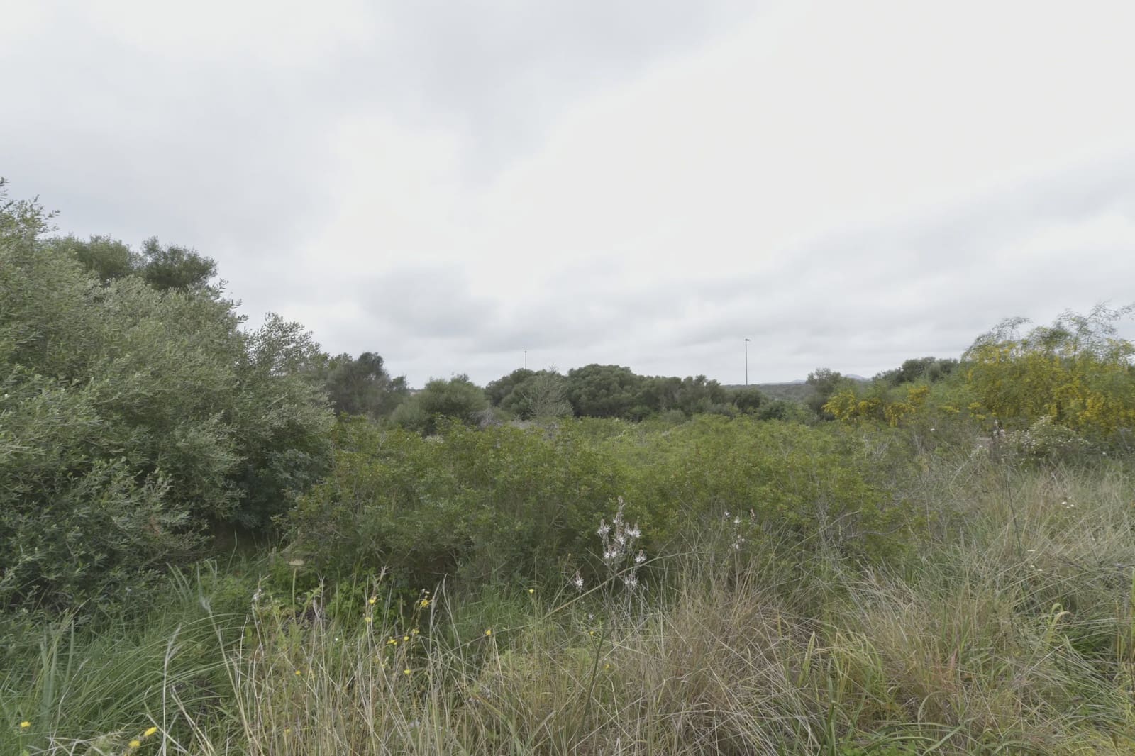 Tontti myytävänä paikassa Calas de Mallorca - 134 000 € (Ref: 8611233)