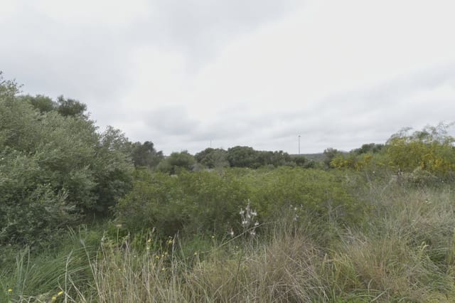 Byggegrund til salg i Calas de Mallorca, Manacor - € 134.000 (Ref: 8611233)