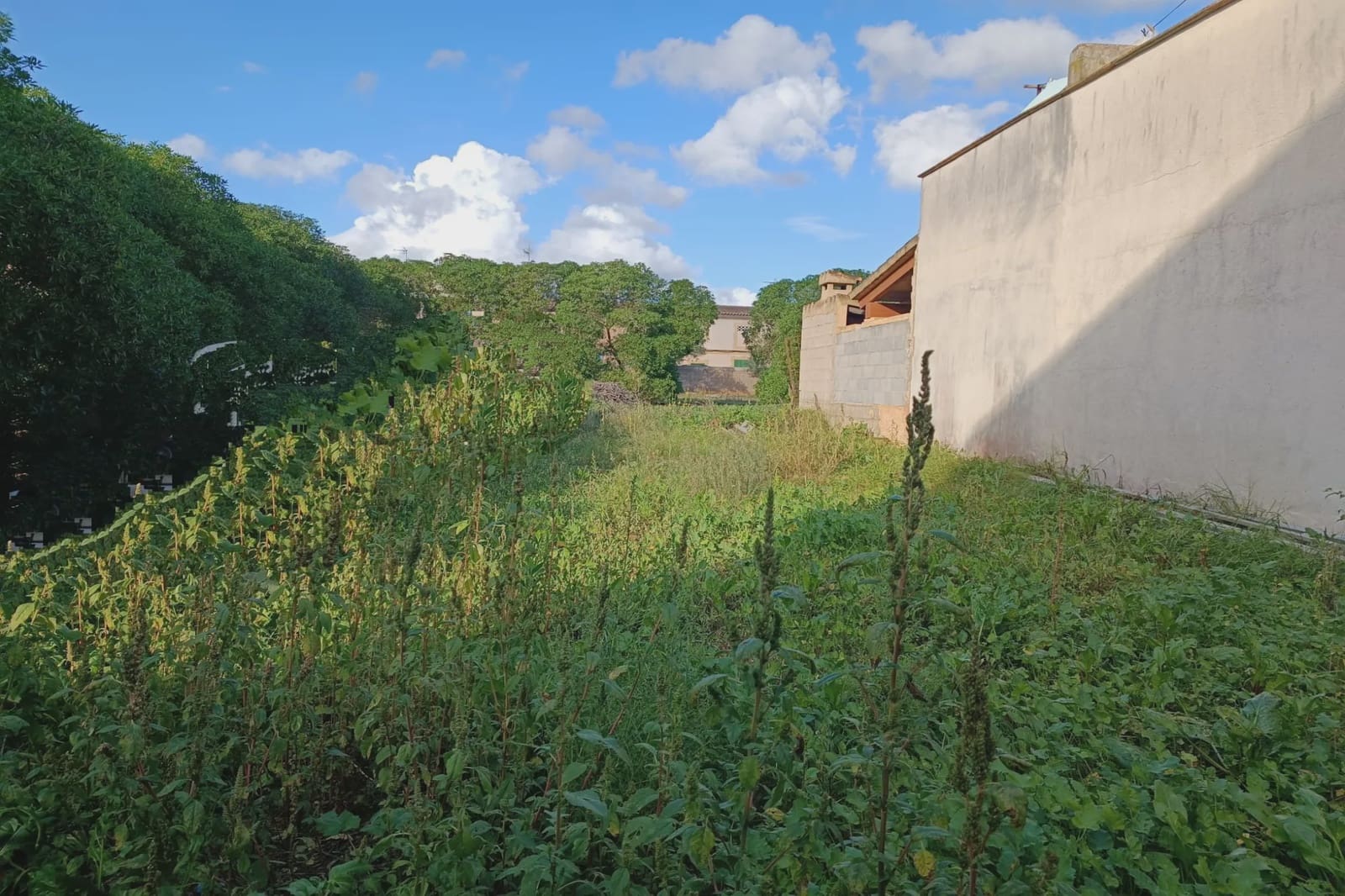 Bouwgrond te koop in Son Carrio - € 150.000 (Ref: 8620400)