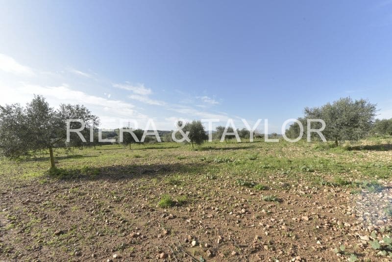 Ubebygd land til salgs i Manacor - € 220 000 (Ref: 8653874)