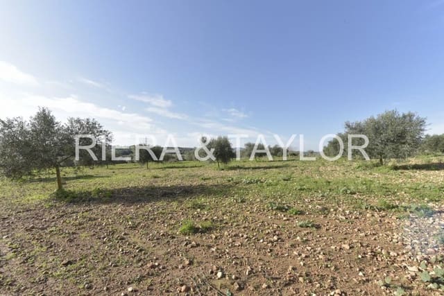 Undeveloped Land for sale in Manacor - € 220,000 (Ref: 8653874)
