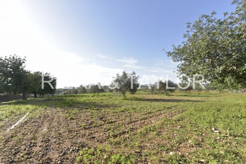 Ubebygd land til salgs i Manacor - € 220 000 (Ref: 8653874)