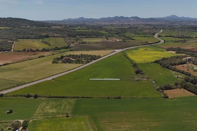 Terreno Não Urbanizado para venda em Manacor - 495 000 € (Ref: 8665933)