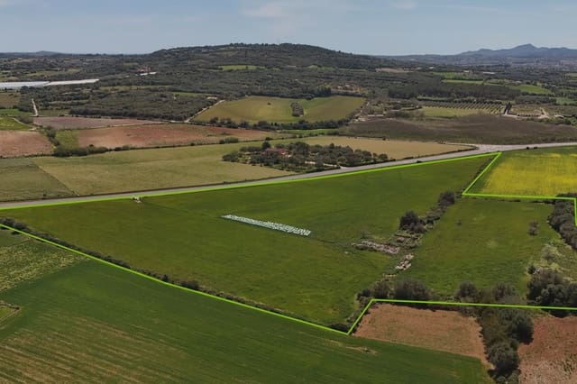 Terreno Não Urbanizado para venda em Manacor - 495 000 € (Ref: 8665933)