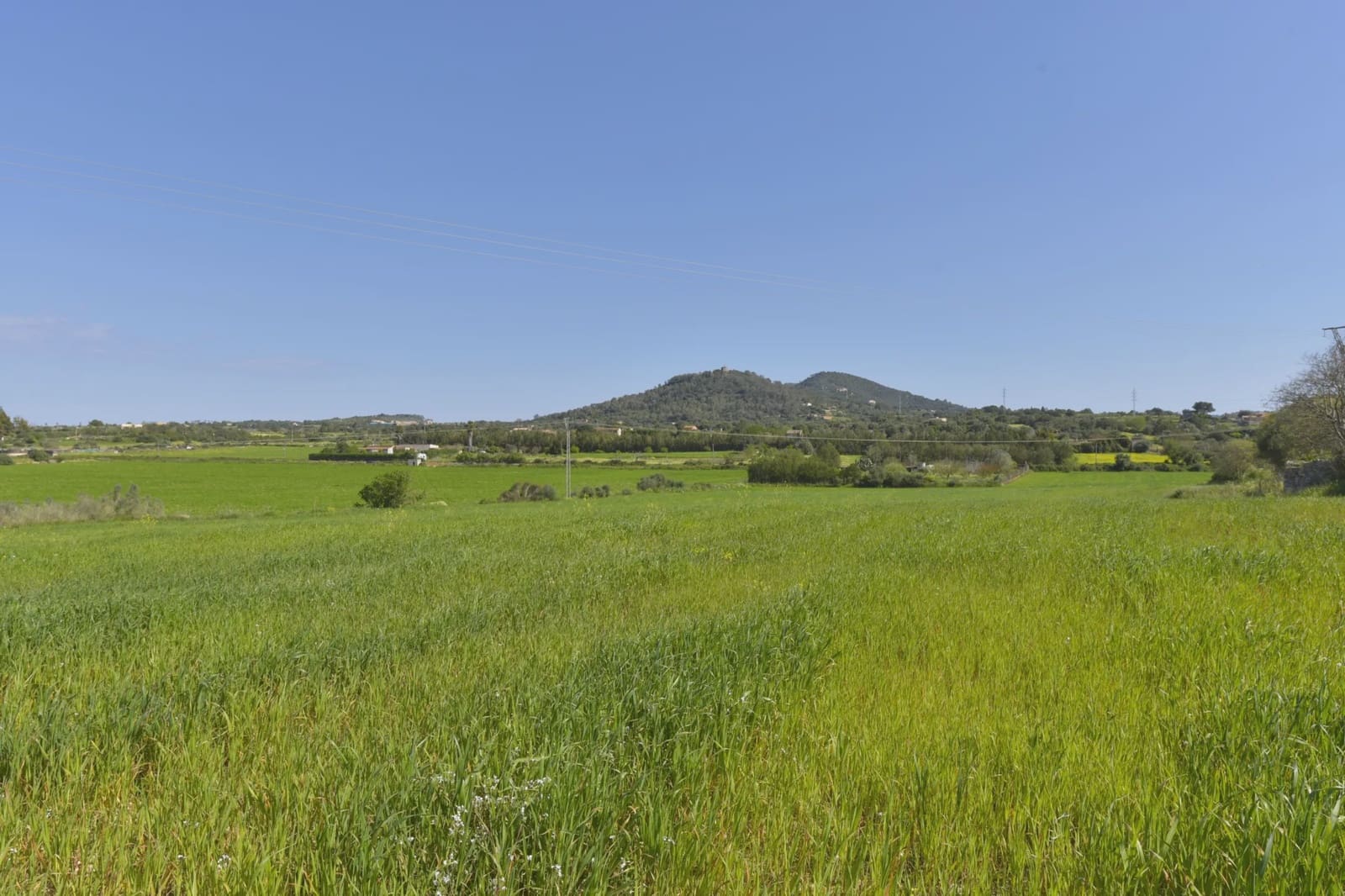 Undeveloped Land for sale in Manacor - € 190,000 (Ref: 8680887)