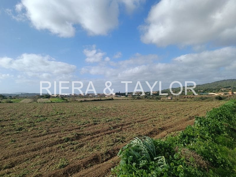 Terre non Aménagée à vendre à Vilafranca de Bonany - 125 000 € (Ref: 8685649)