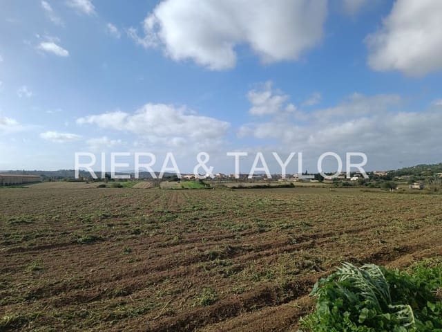 Landgrundstück zu verkaufen in Vilafranca de Bonany - 125.000 € (Ref: 8685649)