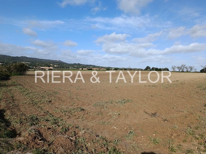 Terre non Aménagée à vendre à Vilafranca de Bonany - 125 000 € (Ref: 8685649)