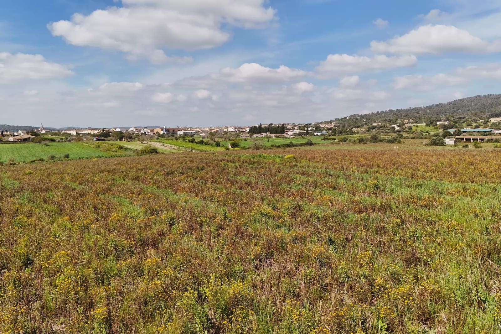 Undeveloped Land for sale in Vilafranca de Bonany - € 170,000 (Ref: 8685649)