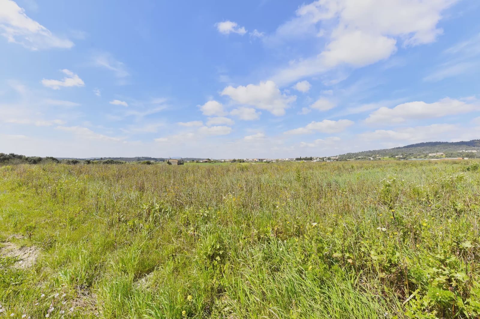 Undeveloped Land for sale in Vilafranca de Bonany - € 170,000 (Ref: 8685649)