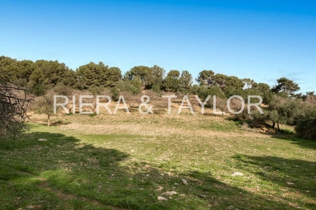Finca/Country House for sale in Manacor - € 3,180,000 (Ref: 8688299)