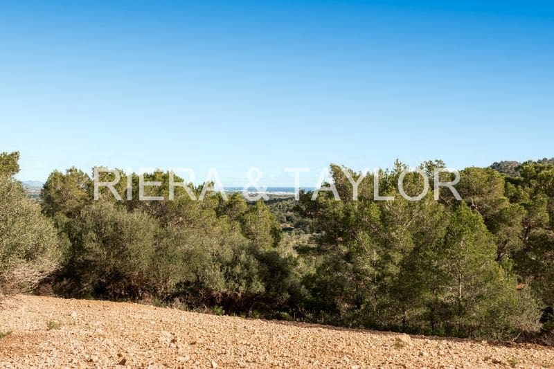 Finca/Country House for sale in Manacor - € 3,180,000 (Ref: 8688299)