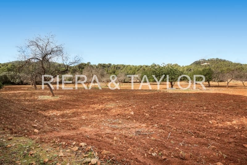 Finca/Country House for sale in Manacor - € 3,180,000 (Ref: 8688299)