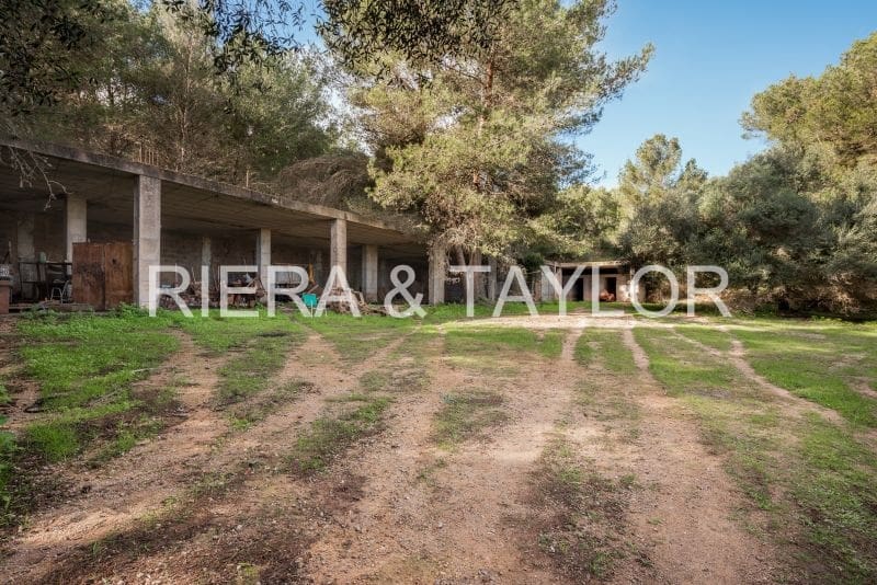 Finca/Country House for sale in Manacor - € 3,180,000 (Ref: 8688299)