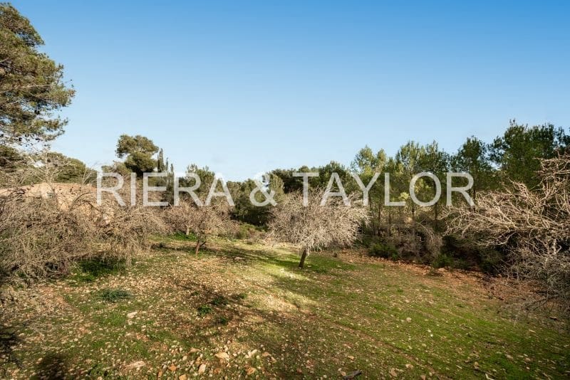 Finca/Country House for sale in Manacor - € 3,180,000 (Ref: 8688299)