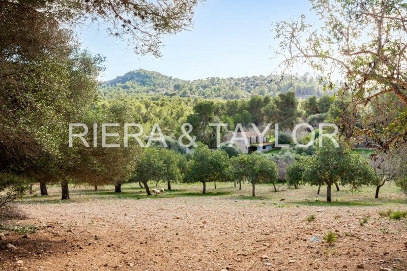 Finca/Country House for sale in Manacor - € 3,180,000 (Ref: 8688299)