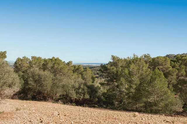 Finca/Herregård til salgs i Manacor - € 3 180 000 (Ref: 8688299)