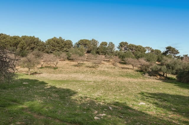 Finca/Herregård til salgs i Manacor - € 3 180 000 (Ref: 8688299)