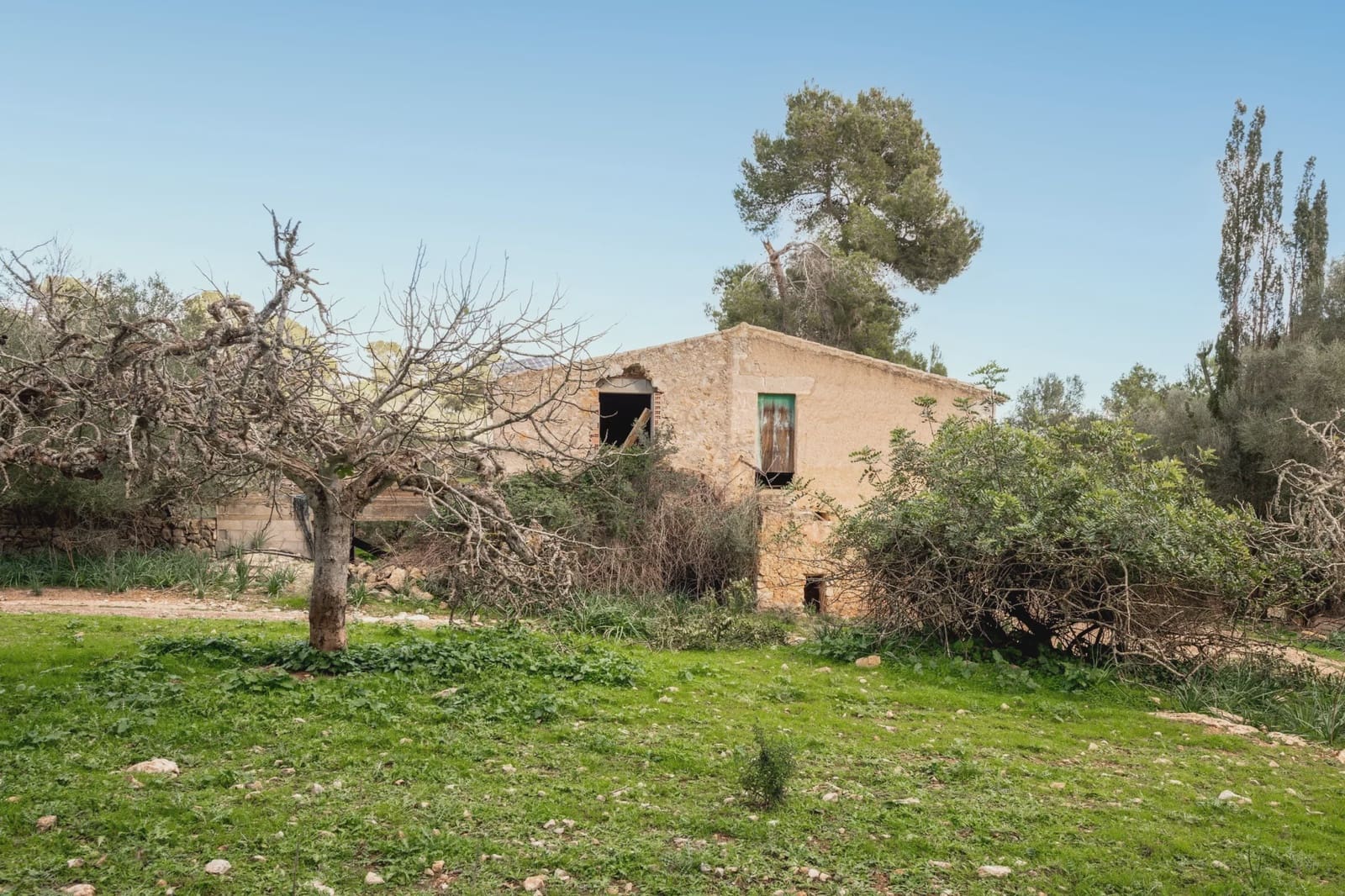 Finca/Hus på landet till salu i Manacor - 3 180 000 € (Ref: 8688299)