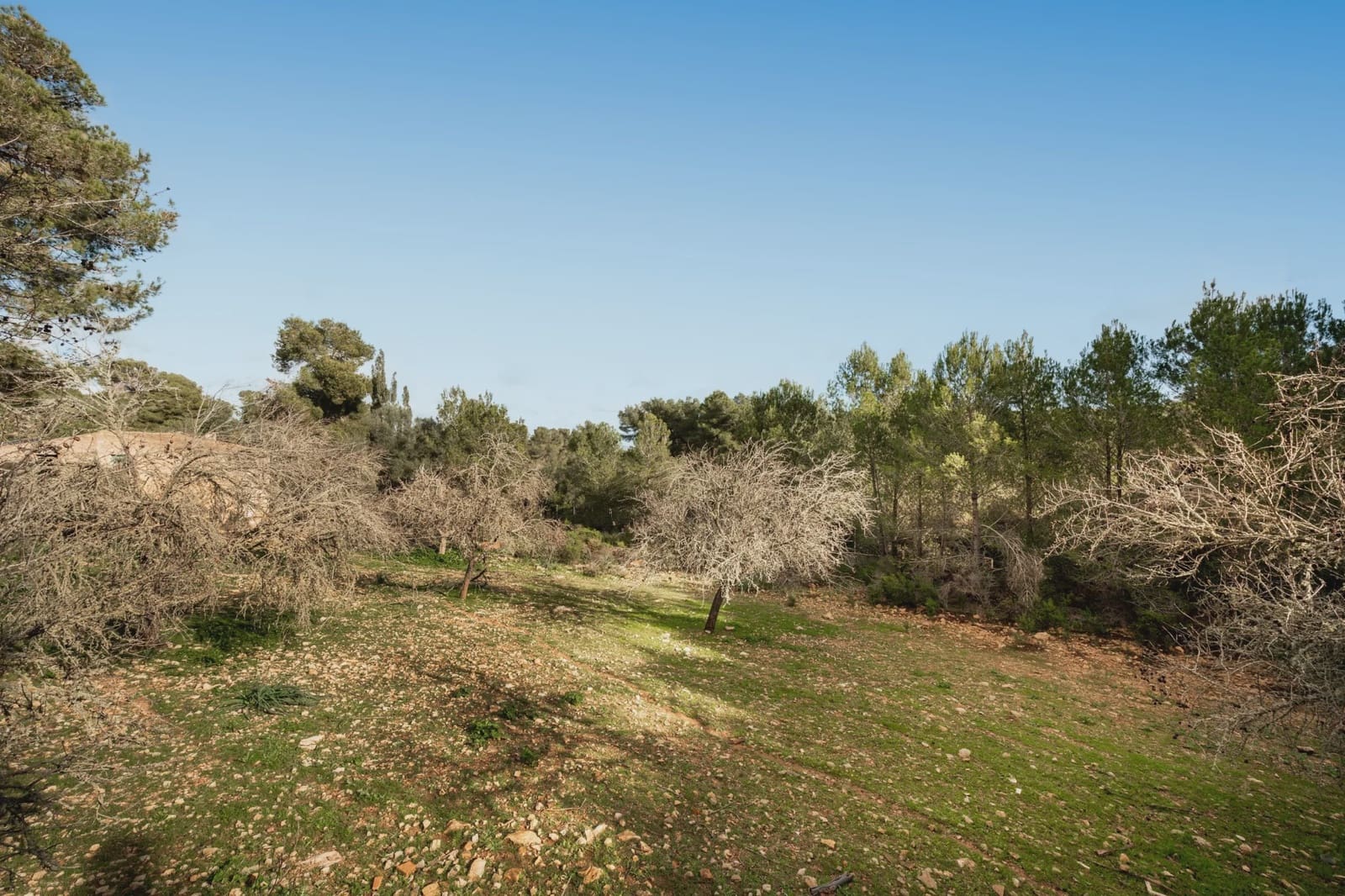 Finca/Hus på landet till salu i Manacor - 3 180 000 € (Ref: 8688299)