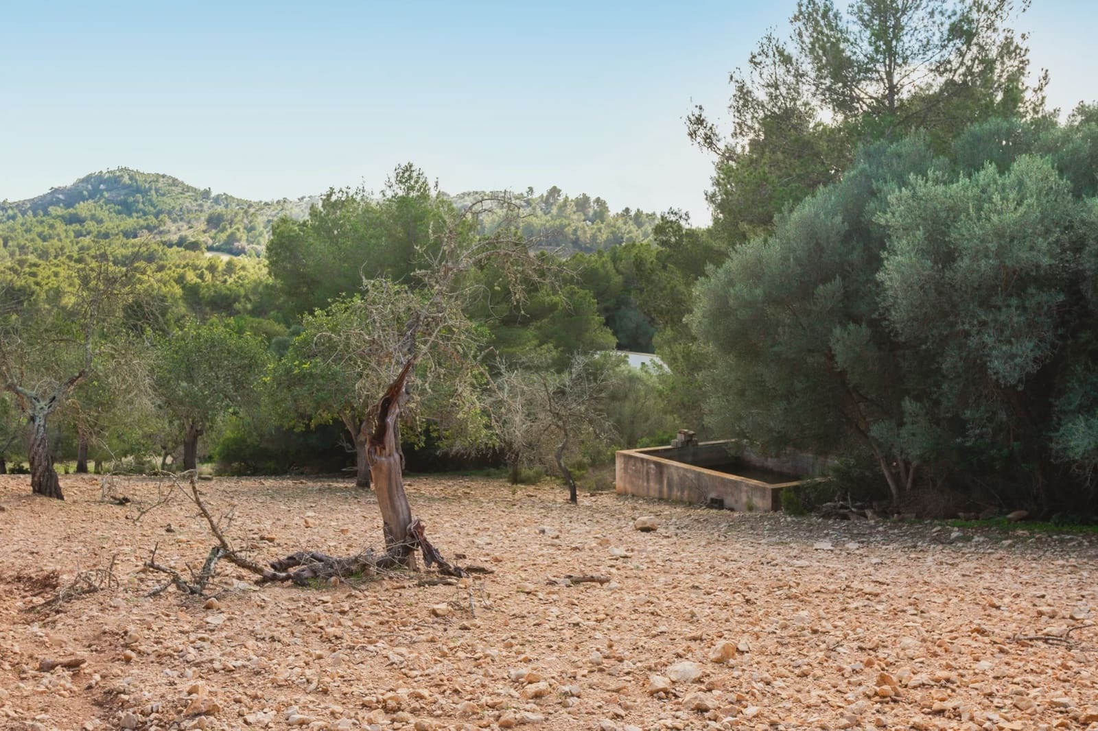 Finca/Hus på landet till salu i Manacor - 3 180 000 € (Ref: 8688299)