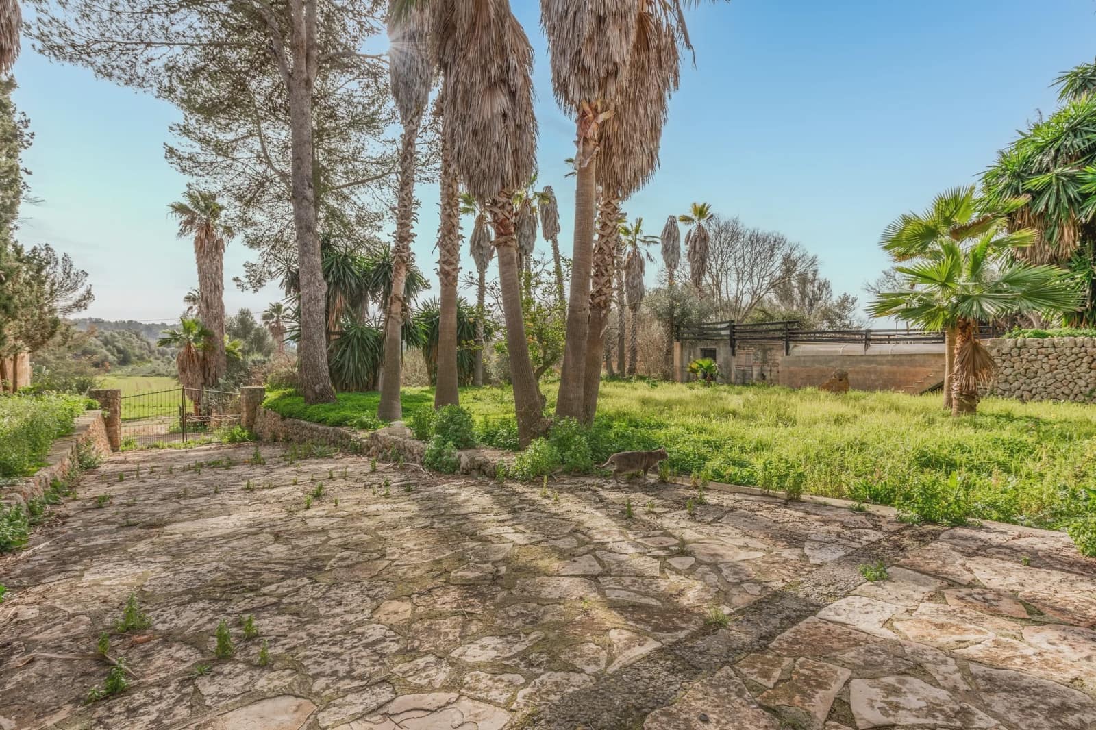 21 bedroom Hotel for sale in Sencelles - € 6,999,000 (Ref: 8690691)