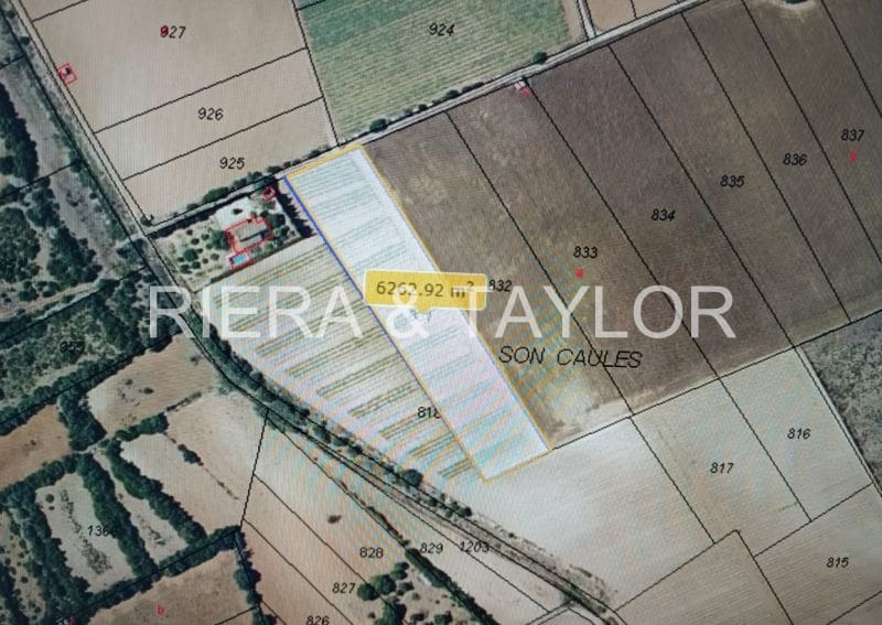 Grunde uden byggetilladelser til salg i Manacor - € 24.000 (Ref: 8696933)