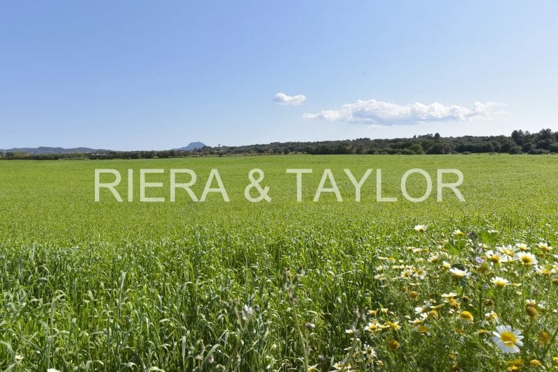 Grunde uden byggetilladelser til salg i Manacor - € 24.000 (Ref: 8696933)