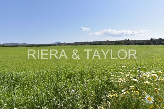 Grunde uden byggetilladelser til salg i Manacor - € 24.000 (Ref: 8696933)