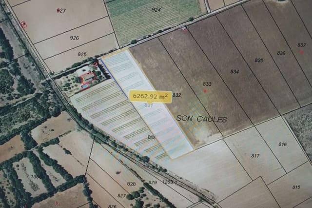 Grunde uden byggetilladelser til salg i Manacor - € 24.000 (Ref: 8696933)