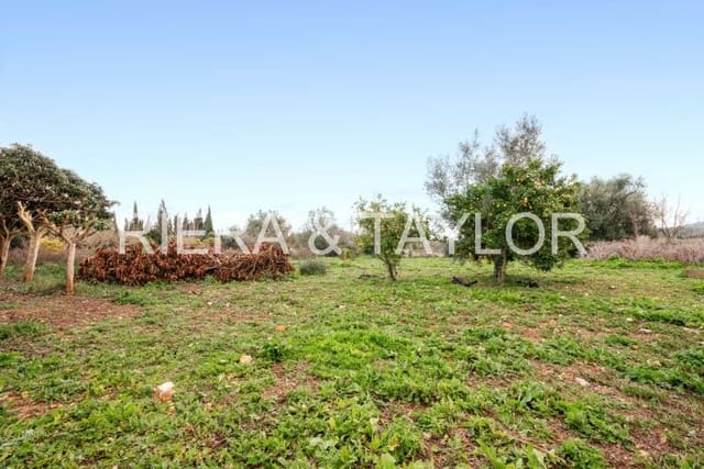 2 sovrum Finca/Hus på landet till salu i Manacor - 270 000 € (Ref: 8716355)