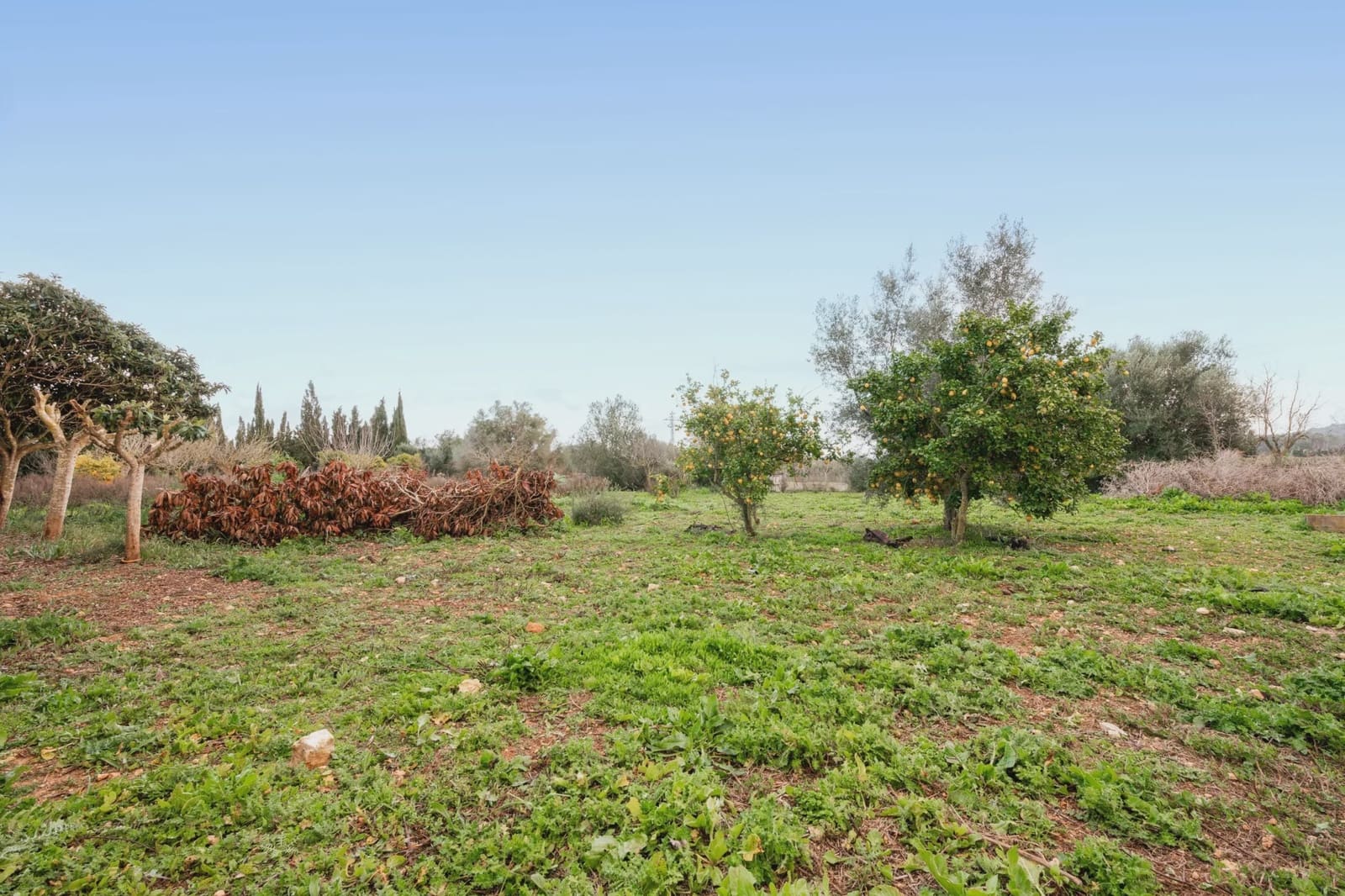 2 bedroom Finca/Country House for sale in Manacor - € 270,000 (Ref: 8716355)