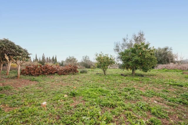 2 soveværelse Finca/Landehus til salg i Manacor - € 270.000 (Ref: 8716355)