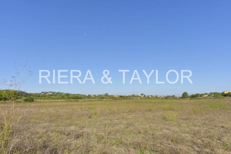 Undeveloped Land for sale in Manacor - € 210,000 (Ref: 8736106)