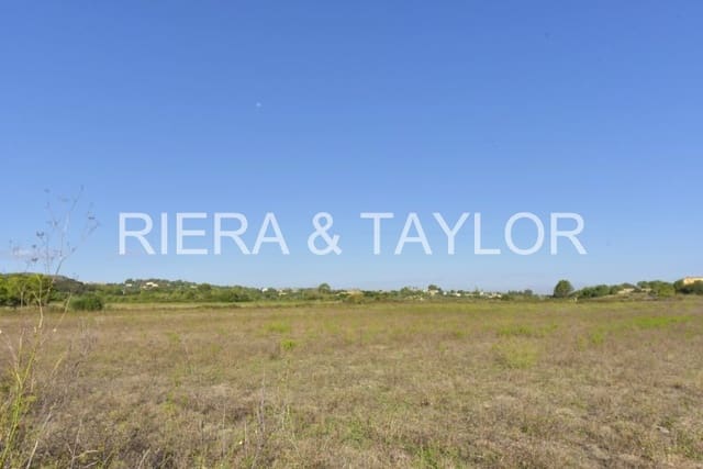 Undeveloped Land for sale in Manacor - € 210,000 (Ref: 8736106)