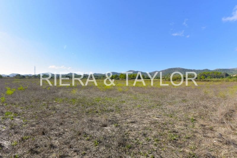 Undeveloped Land for sale in Manacor - € 210,000 (Ref: 8736106)
