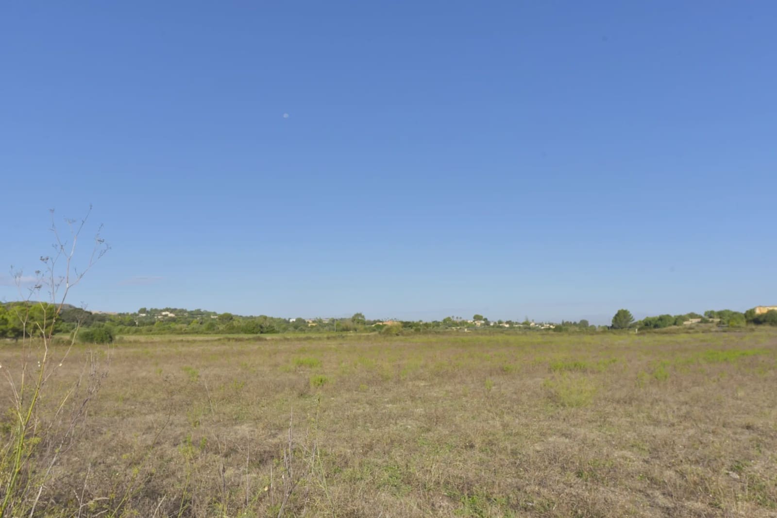 Undeveloped Land for sale in Manacor - € 210,000 (Ref: 8736106)