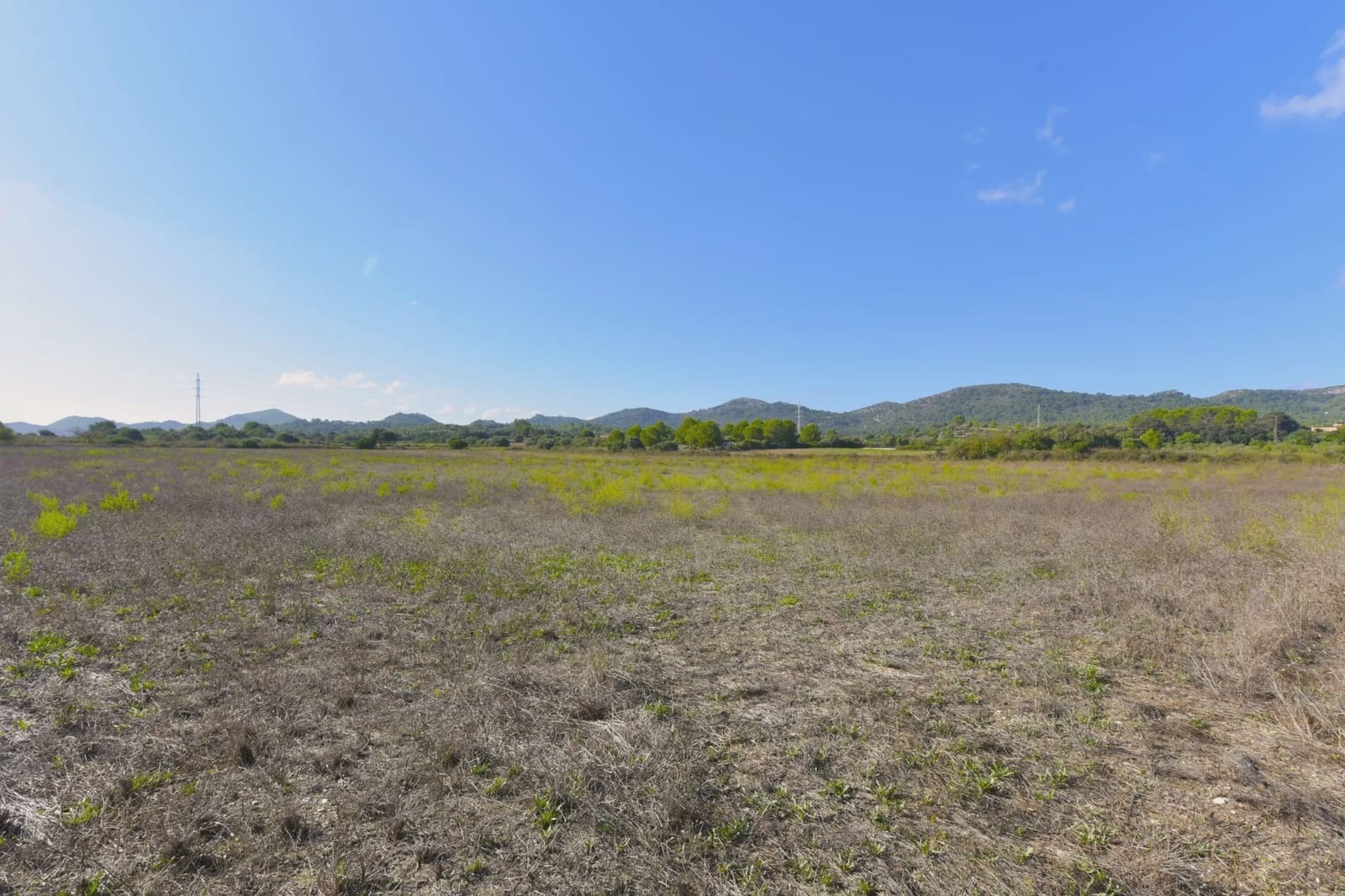 Undeveloped Land for sale in Manacor - € 210,000 (Ref: 8736106)
