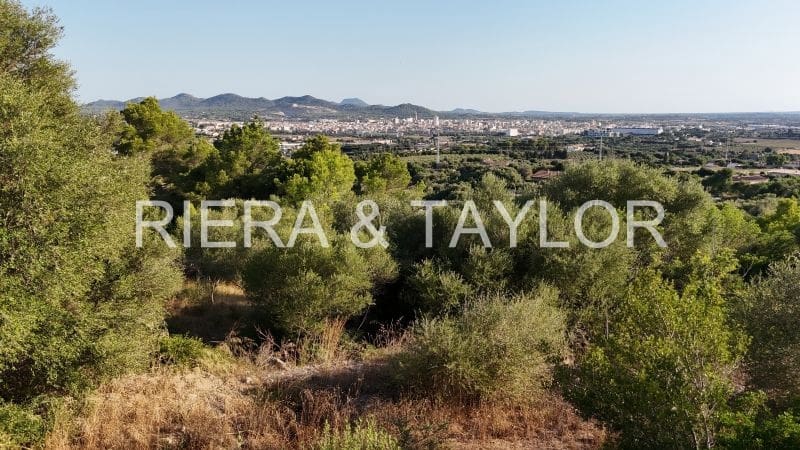 Bouwgrond te koop in Manacor - € 245.000 (Ref: 8756309)