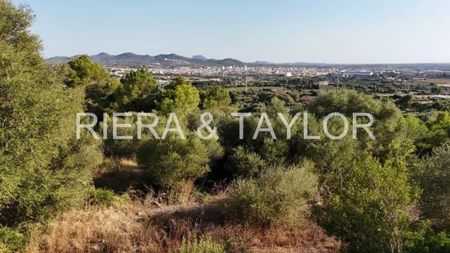 Bouwgrond te koop in Manacor - € 245.000 (Ref: 8756309)