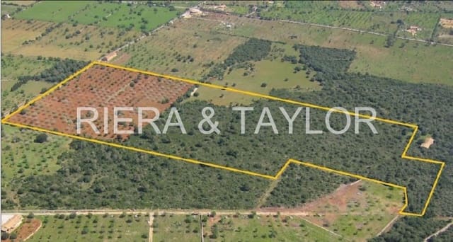 Finca/Landehus til salg i Portocristo / Port de Manacor, Manacor - € 945.000 (Ref: 8770369)