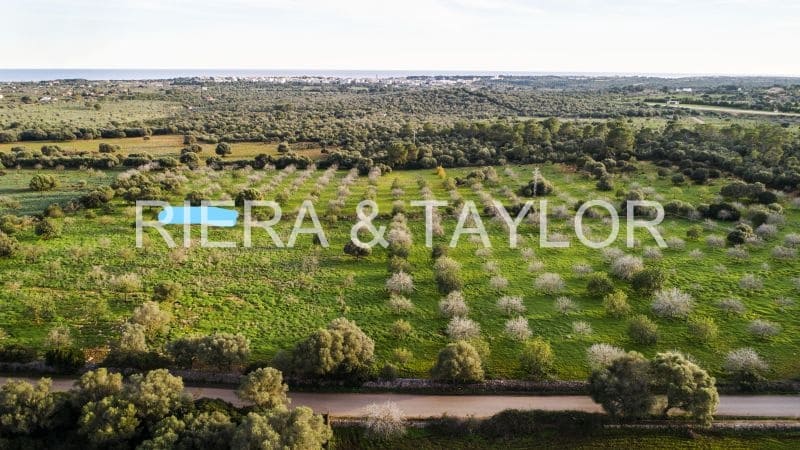 Finca/Landehus til salg i Portocristo / Port de Manacor - € 945.000 (Ref: 8770369)