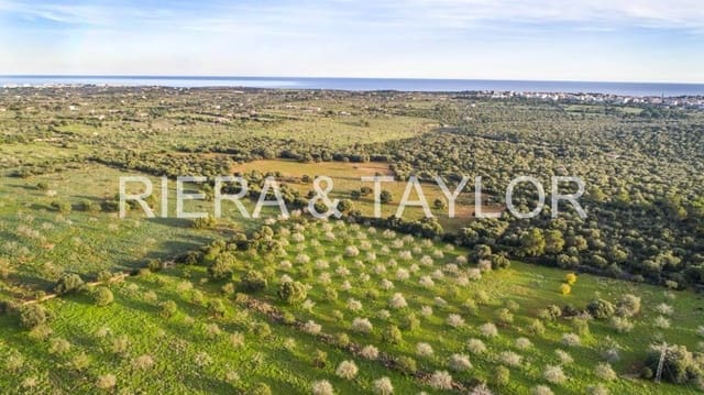 Finca/Landehus til salg i Portocristo / Port de Manacor, Manacor - € 945.000 (Ref: 8770369)