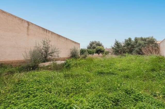 Byggetomt til salgs i Sant Llorenç des Cardassar - € 180 000 (Ref: 8770374)