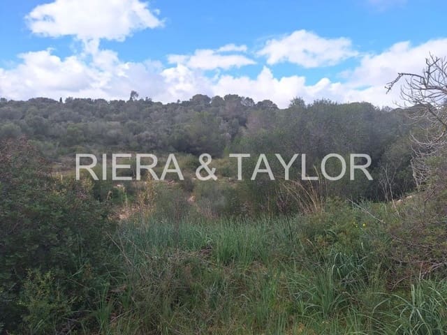 1 sypialnia Finka/Dom wiejski na sprzedaż w Son Carrio, Sant Llorenç des Cardassar - 250 000 € (Ref: 8807247)