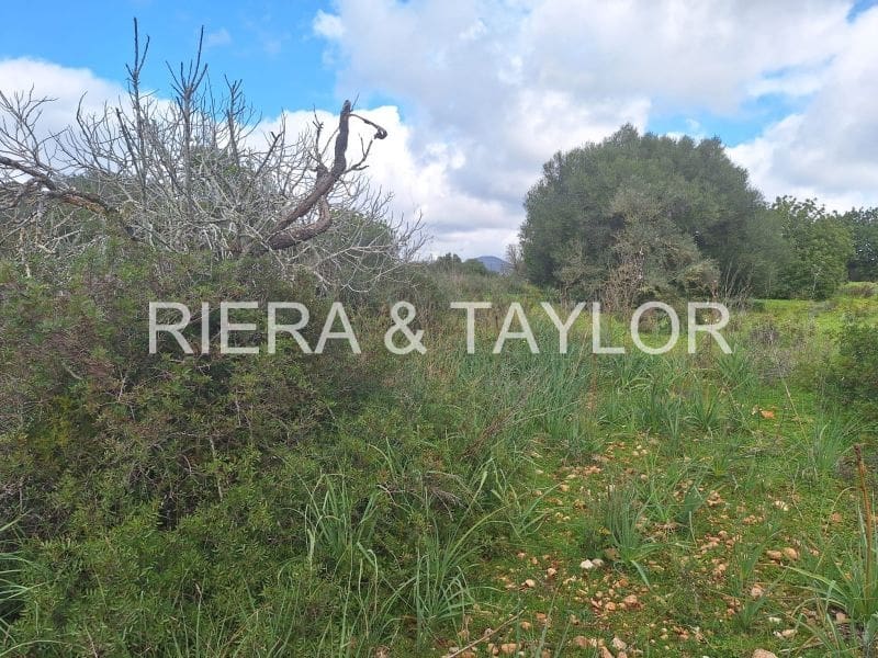 1 soveværelse Finca/Landehus til salg i Son Carrio - € 250.000 (Ref: 8807247)