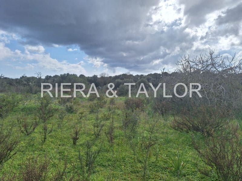 1 soveværelse Finca/Landehus til salg i Son Carrio - € 250.000 (Ref: 8807247)