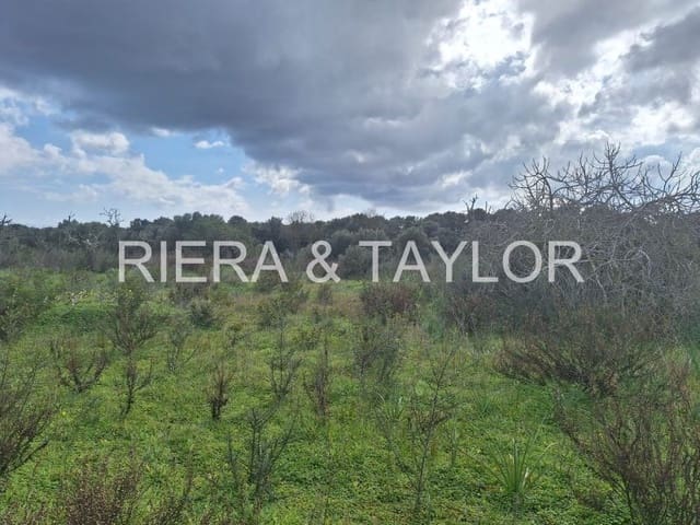 1 sypialnia Finka/Dom wiejski na sprzedaż w Son Carrio, Sant Llorenç des Cardassar - 250 000 € (Ref: 8807247)