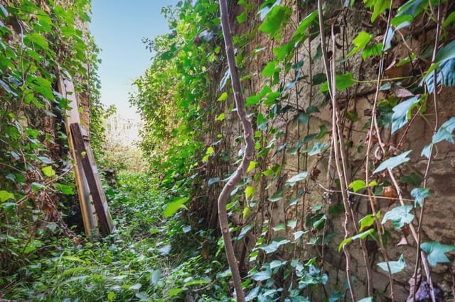 Dom na sprzedaż w Vilafranca de Bonany - 190 000 € (Ref: 8826179)